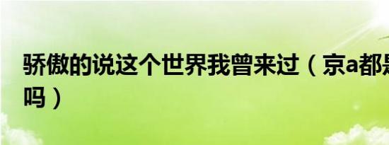 骄傲的说这个世界我曾来过（京a都是政府车吗）