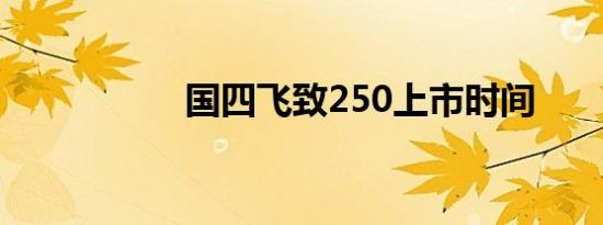 国四飞致250上市时间