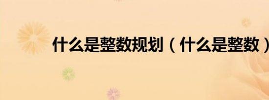 什么是整数规划（什么是整数）