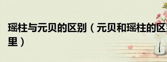 瑶柱与元贝的区别（元贝和瑶柱的区别在于哪里）