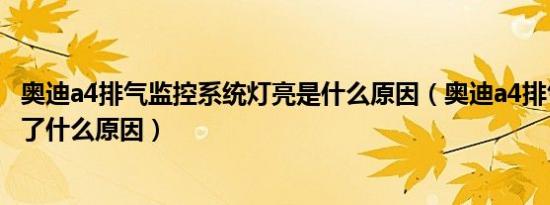 奥迪a4排气监控系统灯亮是什么原因（奥迪a4排气系统灯亮了什么原因）
