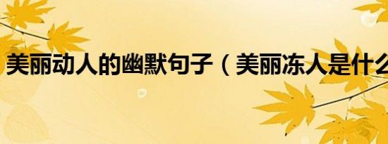 美丽动人的幽默句子（美丽冻人是什么意思）
