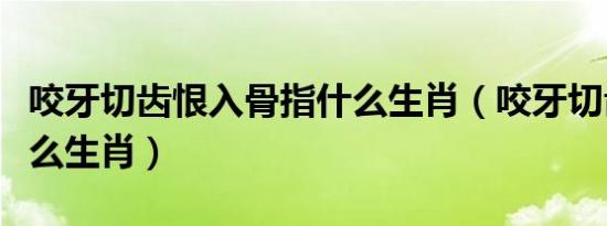 咬牙切齿恨入骨指什么生肖（咬牙切齿代表什么生肖）
