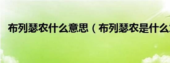 布列瑟农什么意思（布列瑟农是什么意思）