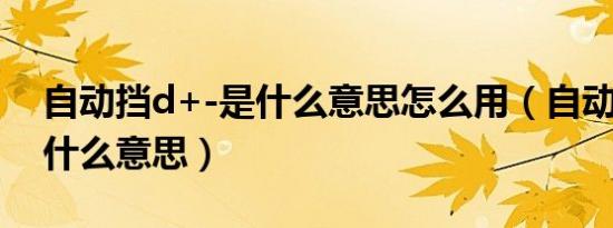 自动挡d+-是什么意思怎么用（自动挡d -是什么意思）