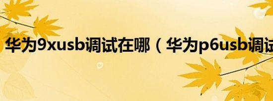 华为9xusb调试在哪（华为p6usb调试在哪）