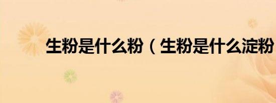 生粉是什么粉（生粉是什么淀粉）