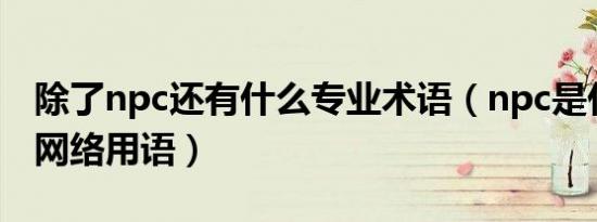 除了npc还有什么专业术语（npc是什么意思网络用语）