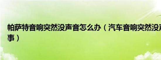 帕萨特音响突然没声音怎么办（汽车音响突然没声音怎么回事）