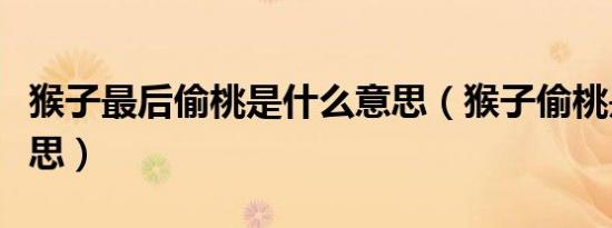 猴子最后偷桃是什么意思（猴子偷桃是什么意思）
