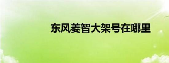 东风菱智大架号在哪里
