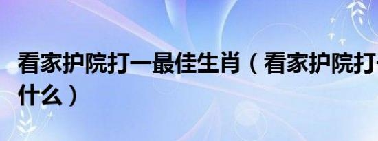 看家护院打一最佳生肖（看家护院打一生肖是什么）