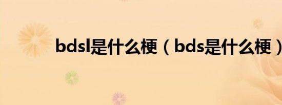 bdsl是什么梗（bds是什么梗）