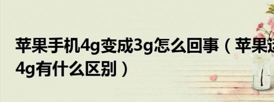 苹果手机4g变成3g怎么回事（苹果运行3g和4g有什么区别）