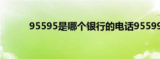95595是哪个银行的电话95599