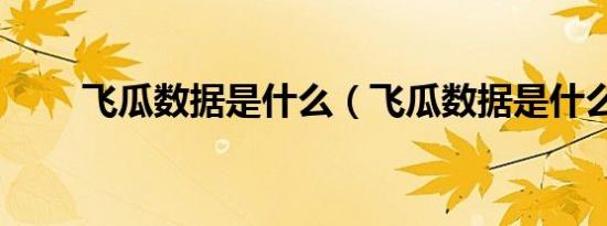 飞瓜数据是什么（飞瓜数据是什么）