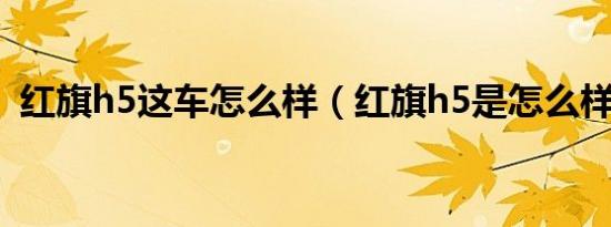 红旗h5这车怎么样（红旗h5是怎么样的车）