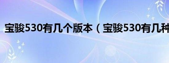 宝骏530有几个版本（宝骏530有几种颜色）
