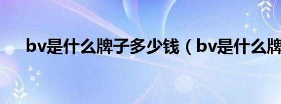bv是什么牌子多少钱（bv是什么牌子）