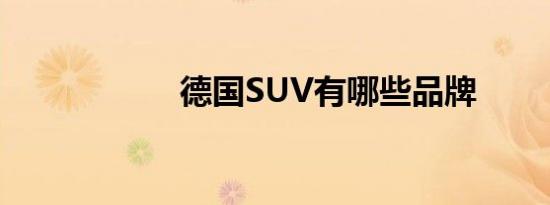 德国SUV有哪些品牌