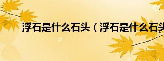 浮石是什么石头（浮石是什么石头）