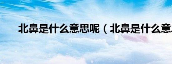 北鼻是什么意思呢（北鼻是什么意思）