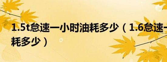 1.5t怠速一小时油耗多少（1.6怠速一小时油耗多少）