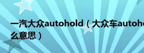 一汽大众autohold（大众车autohold是什么意思）