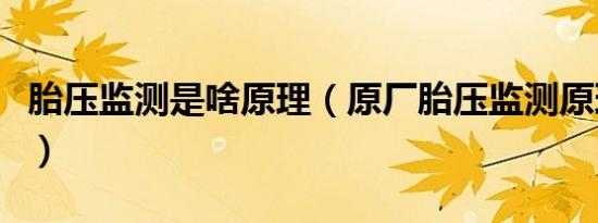 胎压监测是啥原理（原厂胎压监测原理是什么）