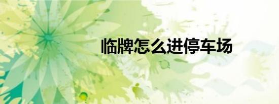 临牌怎么进停车场