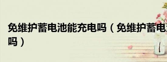 免维护蓄电池能充电吗（免维护蓄电池能充电吗）