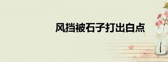 风挡被石子打出白点
