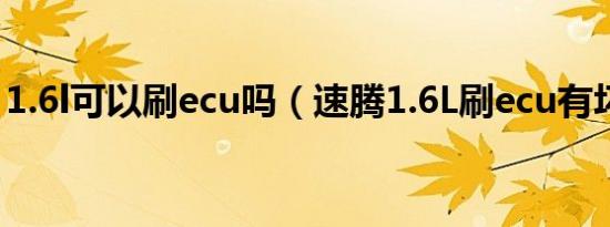 1.6l可以刷ecu吗（速腾1.6L刷ecu有坏处吗）