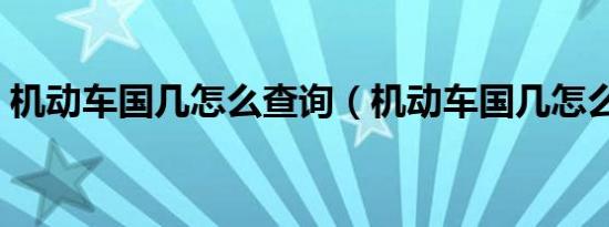 机动车国几怎么查询（机动车国几怎么查询）