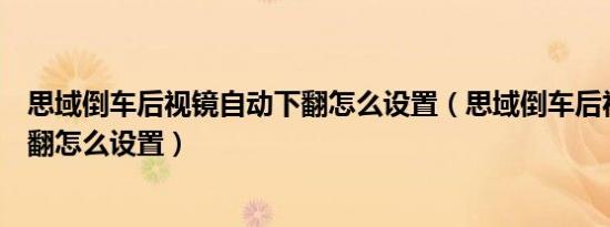 思域倒车后视镜自动下翻怎么设置（思域倒车后视镜自动下翻怎么设置）