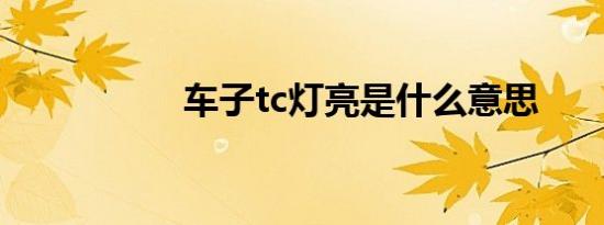 车子tc灯亮是什么意思