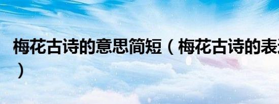 梅花古诗的意思简短（梅花古诗的表达的意思）