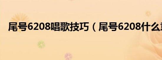 尾号6208唱歌技巧（尾号6208什么意思）