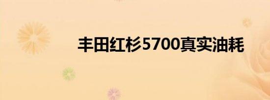 丰田红杉5700真实油耗