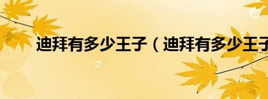 迪拜有多少王子（迪拜有多少王子）