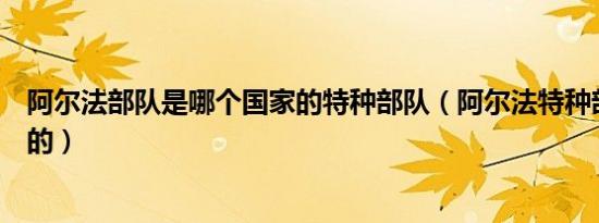 阿尔法部队是哪个国家的特种部队（阿尔法特种部队是哪国的）