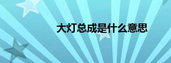 大灯总成是什么意思