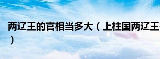 两辽王的官相当多大（上柱国两辽王是几品官）