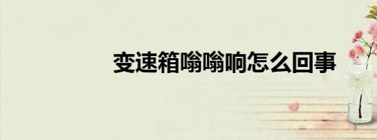 变速箱嗡嗡响怎么回事