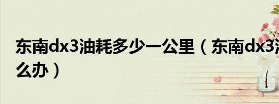 东南dx3油耗多少一公里（东南dx3油耗高怎么办）