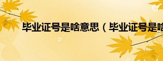 毕业证号是啥意思（毕业证号是啥）