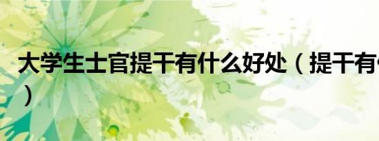 大学生士官提干有什么好处（提干有什么好处）