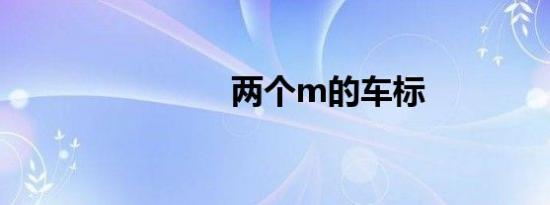 两个m的车标