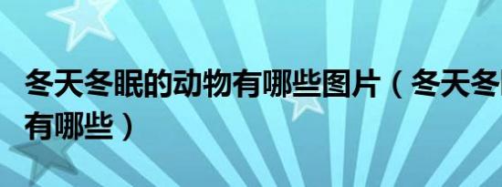 冬天冬眠的动物有哪些图片（冬天冬眠的动物有哪些）