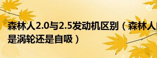 森林人2.0与2.5发动机区别（森林人的发动机是涡轮还是自吸）